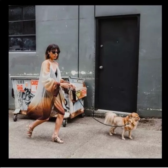 GORGEOUS ZARA NWT Pleated Metallic Dress - Picture 7 of 8